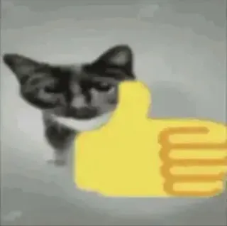 👍 cat whatsapp sticker