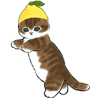 🍋 猫, 柠檬, 小猫, 可爱, 动物, 宠物, 搞笑, 帽子 telegram sticker