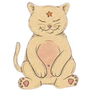 ✨ cat, animal, sticker, cartoon, cute, pet, feline telegram sticker