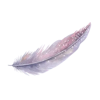 💎 깃털, 가벼운, 부드러운, 섬세한, 몽환적인 telegram sticker