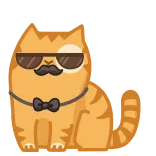 😎