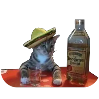 Drunken Animals telegram stickers