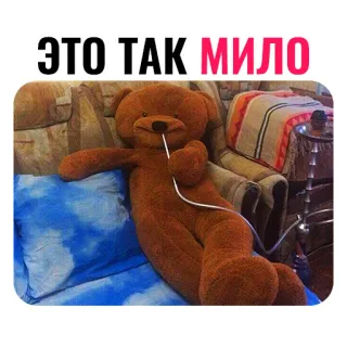 ☺️ ЭТО ТАК МИЛО ursinho de pelúcia, narguilé, fumando, fofo, brinquedo, pelúcia telegram sticker