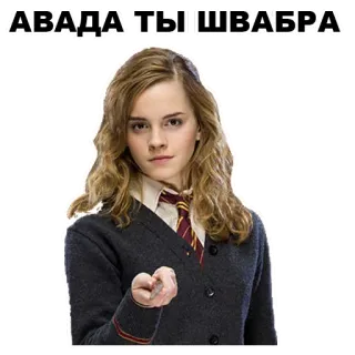 👨‍👩‍👧‍👦 Hermione Granger Harry Potter АВАДА ТЫ ШВАБРА harry potter, hermione granger, sorcier, magie, blague, russe telegram sticker