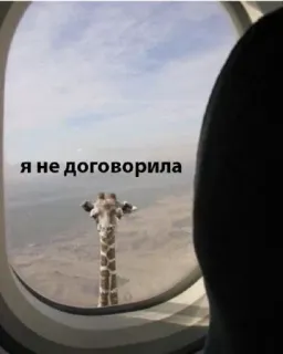 💬 Я не договорила жираф, самолет, окно, смешной, животное, мем telegram sticker