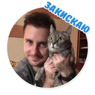 😼 Закискаю mann, katze, selfie, haustier, süß, zuneigung telegram sticker