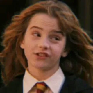 🐿 Hermione Granger Harry Potter hermiene, granger, harry potter, tovenaar, emma watson telegram sticker