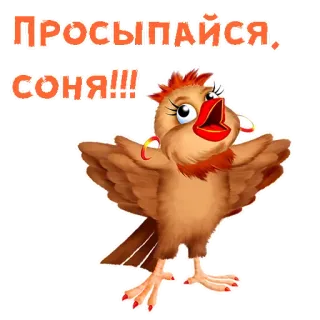 😄 ПРОСЫПАЙСЯ, СОНЯ!!! bird, wake up, cartoon, animal, character, motivation telegram sticker