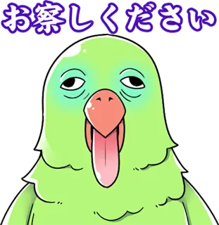 🤤 お察しください 새, 앵무새, 피곤한, 표정, 동물, 스티커 telegram sticker