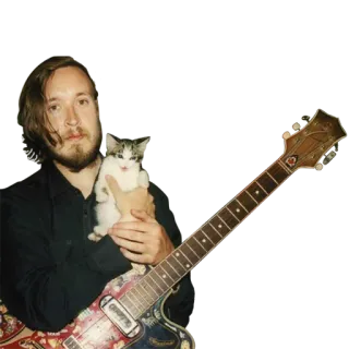 😊 homem, gato, guitarra, música, músico, animal de estimação, gatinho telegram sticker