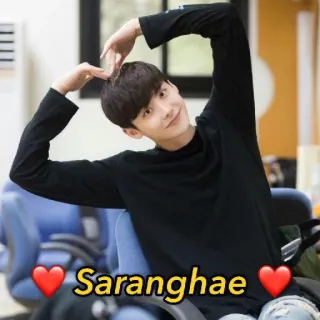 ❤️ Saranghae amore, cuore, coreano, attore, sorriso, saranghae telegram sticker