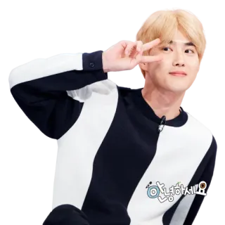✌️ 안녕하세요 kpop, signe de paix, salutation, homme, célébrité, personne, asiatique telegram sticker