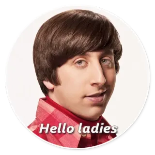 👋 Howard Wolowitz The Big Bang Theory Hello ladies Howard Wolowitz, The Big Bang Theory, Hello ladies, Sitcom, Comedia whatsapp sticker