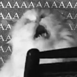MattyCats telegram stickers