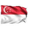 🇸🇬