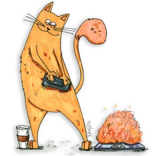 🎽 кот, мультфильм, кофе, кухня, готовка, смешной telegram sticker