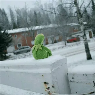 🐸 Kermit Kermit, o Sapo, Muppet, Inverno, Neve, Ar livre, Frio whatsapp sticker