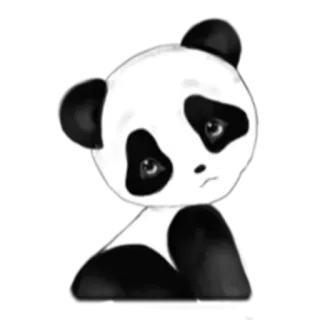 😕 Panda, Animale, Carino, Triste, Kawaii, Adesivo, Cartone animato telegram sticker
