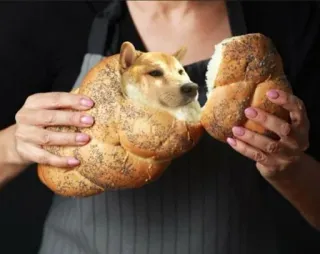 ❤️ dog, bread, funny, animal, meme, doge telegram sticker