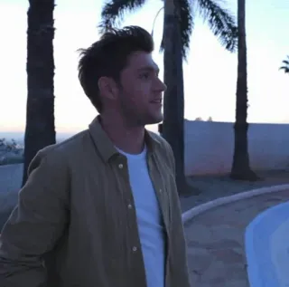 🌿 Niall Horan Niall Horan, cantante, celebridad, One Direction, músico, estrella pop telegram sticker