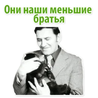 😀 Они наши меньшие братья หมี, ผู้ชาย, สัตว์, มิตรภาพ, รัสเซีย, วลี whatsapp sticker