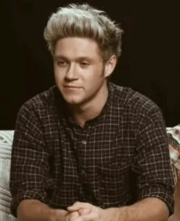 🥀 Niall Horan person, singer, celebrity, portrait, male, one direction, niall horan telegram sticker