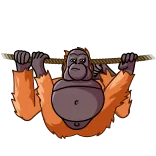 👌 Orangutan, Monyet, Binatang, Kera, Kartun, Bergantung, Mamalia whatsapp sticker