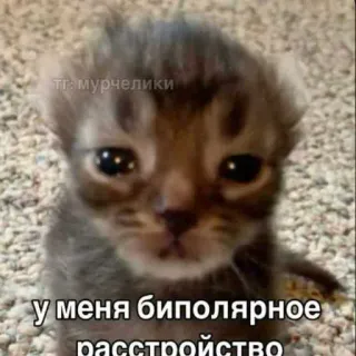 Больше стиков тут: @stikery4 whatsapp stickers