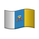 🇮🇨