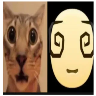😵 猫, 表情符号, 震惊, 梗, 搞笑, 幽默 telegram sticker