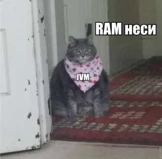 🍔 RAM неси cat, meme, funny, animal, programming, humor telegram sticker
