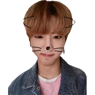 😏 persona, orejas de gato, filtro, retrato whatsapp sticker