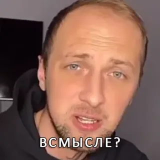 🙂 ВСМЫСЛЕ? telegram sticker