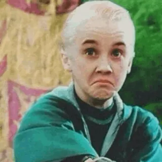 🐾 Draco Malfoy Harry Potter 드레이코 말포이, 해리 포터, 슬리데린, 마법사, 마법, 반응, 웃긴 telegram sticker