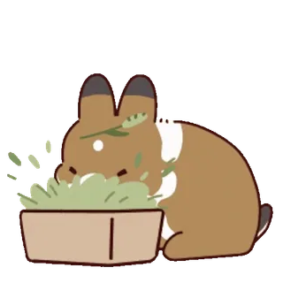 ๐ telegram sticker