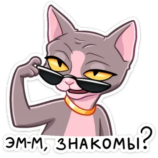 😎 Эм-м, знакомы? cat, sunglasses, sphynx cat, funny, sticker telegram sticker