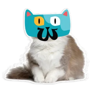😐 Katze, Tier, Sticker, Haustier telegram sticker