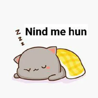 🥱 Nind me hun cat, sleeping, cute, cartoon, sleepy, animal whatsapp sticker