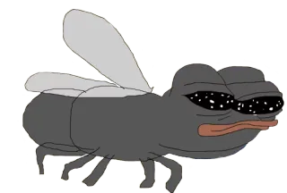 🐜 Pepe the Frog meme, pepe, fly, insect, internet, cartoon telegram sticker