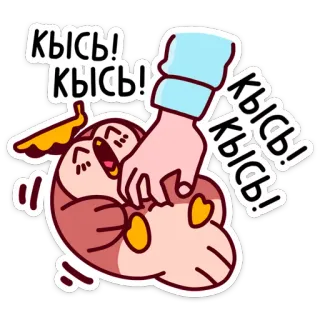 😂 Кысь! Кысь! Кысь! Кысь! Кысь! süß, Tier, Haustier, spielen, fröhlich, Aufkleber whatsapp sticker
