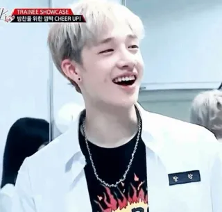 Chan MEMES😹 @ItzHadid telegram stickers