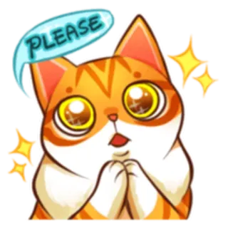 🙏 PLEASE kat, kitten, alsjeblieft, smekend, schattig, lief, sticker telegram sticker