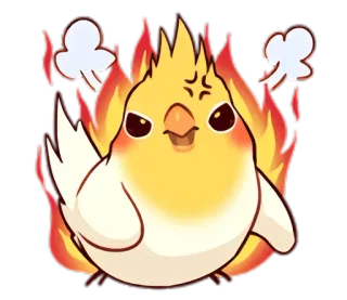 😡 bravo, pássaro, flamejante, fofo, desenho animado, calopsita, animal telegram sticker