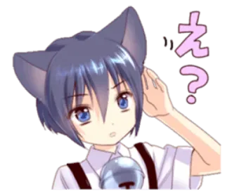 😯 え？ anime, pertanyaan, telinga, kucing, bingung telegram sticker