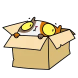 👀 고양이, 상자, 만화, 동물, 스티커 whatsapp sticker