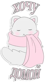 ❄️ ХОЧУ ДОМОЙ kot, zwierzę, szalik, słodki, zima, kawaii, śpiący telegram sticker