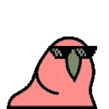 🦜 sticker, cartoon, grappig, bril, cool, roze, blob telegram sticker