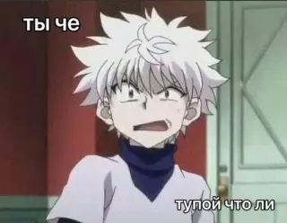 🌟 Killua Zoldyck Hunter x Hunter ты че тупой что ли killua zoldyck, hunter x hunter, anime, cartoon, lustig, meme telegram sticker