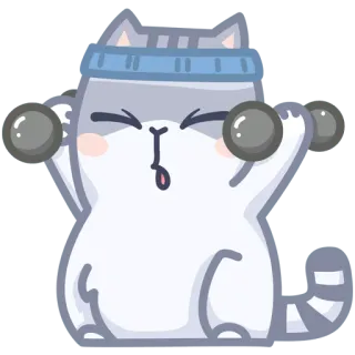 🏋️‍♂️ gato, exercício, levantamento de peso, halteres, fitness telegram sticker