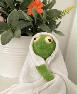 😐 Kermit Kermit the Frog, Muppet, puppet, frog, green, towel, plant telegram sticker